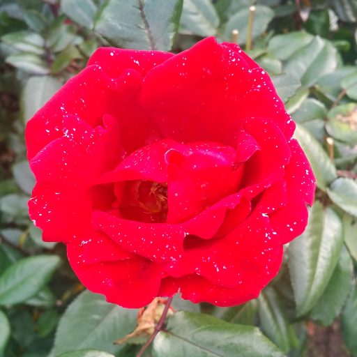 SUNSHINE AURA – self-esteem. self-love. self-actualization. 